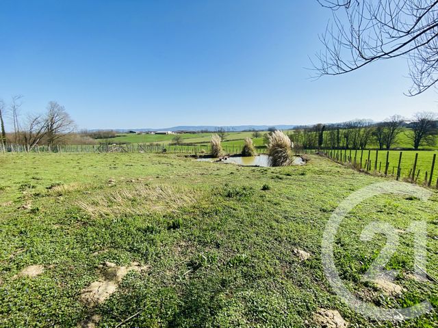 Maison &agrave; vendre - 9 pi&egrave;ces - 196,92 m2 - Dommartin Les Cuiseaux - 71 - BOURGOGNE