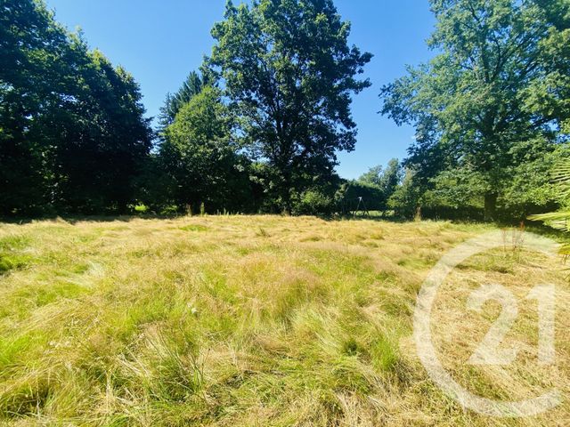 Maison &agrave; vendre - 6 pi&egrave;ces - 132,99 m2 - Dommartin Les Cuiseaux - 71 - BOURGOGNE
