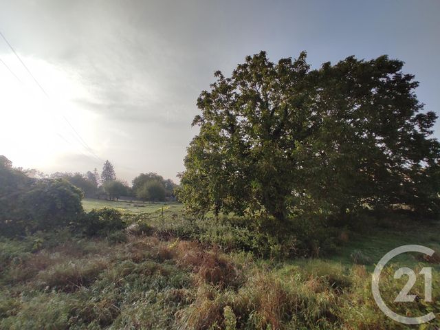 Terrain à vendre - 710 m2 - Villers Cotterets - 02 - PICARDIE