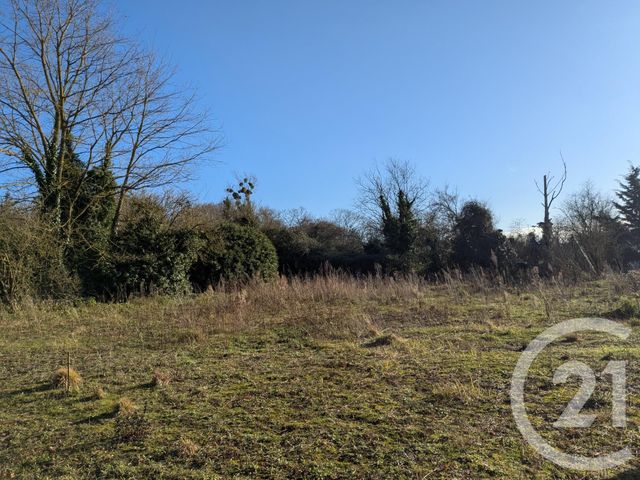 terrain - VILLERS COTTERETS - 02