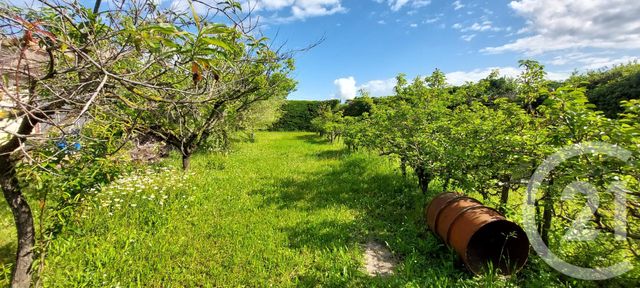 Maison &agrave; vendre - 9 pi&egrave;ces - 195,60 m2 - Montelimar - 26 - RHONE-ALPES