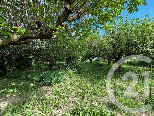 Maison à vendre - 6 pièces - 156 m2 - Rochemaure - 07 - RHONE-ALPES