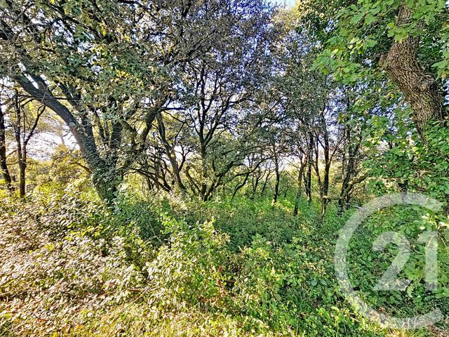 Terrain &agrave; vendre - 1954 m2 - Montelimar - 26 - RHONE-ALPES