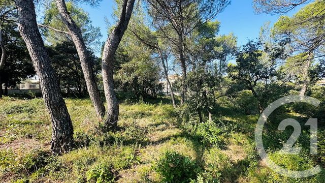 Terrain &agrave; vendre - 2117 m2 - Cavaillon - 84 - PROVENCE-ALPES-COTE-D-AZUR