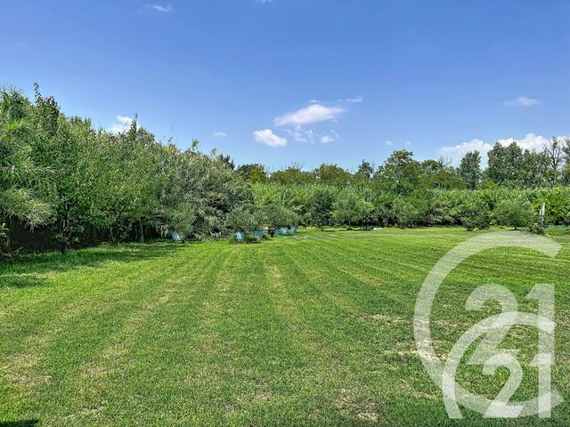 Maison &agrave; vendre - 8 pi&egrave;ces - 238 m2 - Cavaillon - 84 - PROVENCE-ALPES-COTE-D-AZUR