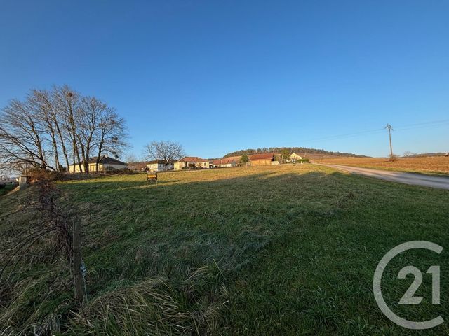 Terrain à vendre - 3246 m2 - Ailleville - 10 - CHAMPAGNE-ARDENNE