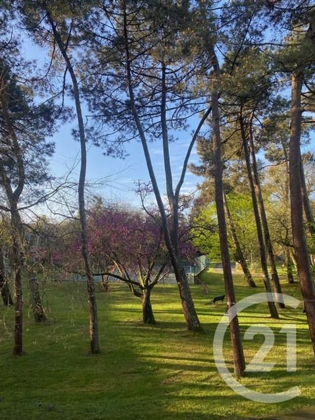 Appartement T4 &agrave; vendre - 4 pi&egrave;ces - 87,41 m2 - Le Bouscat - 33 - AQUITAINE