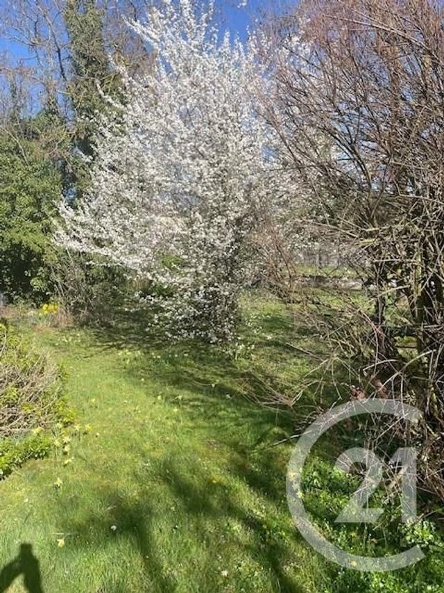 Terrain &agrave; vendre - 397 m2 - Draveil - 91 - ILE-DE-FRANCE