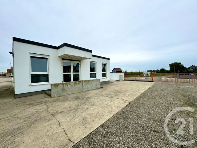 Appartement Local à louer - 3 pièces - 55 m2 - Batzendorf - 67 - ALSACE