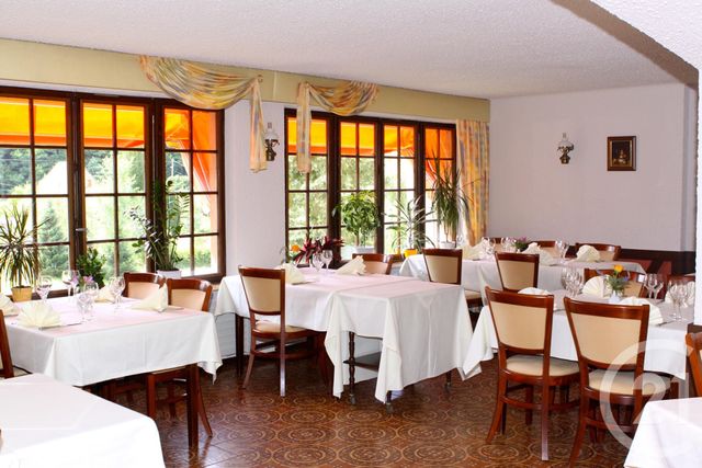 Maison à vendre - 12 pièces - 530 m2 - Philippsbourg - 57 - LORRAINE