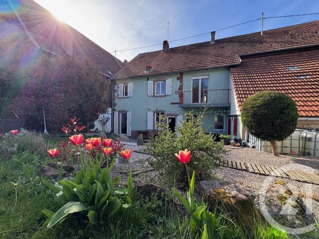 Maison &agrave; vendre - 8 pi&egrave;ces - 206 m2 - Wingen Sur Moder - 67 - ALSACE