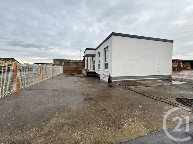 Appartement Local &agrave; louer - 3 pi&egrave;ces - 55 m2 - Batzendorf - 67 - ALSACE