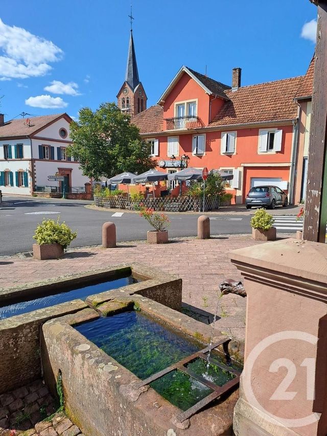Divers &agrave; vendre - 220 m2 - Ingwiller - 67 - ALSACE