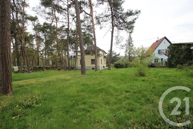 Maison &agrave; vendre - 7 pi&egrave;ces - 135 m2 - Schweighouse Sur Moder - 67 - ALSACE