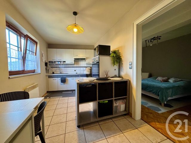Appartement F2 &agrave; louer - 2 pi&egrave;ces - 29,62 m2 - Wintershouse - 67 - ALSACE