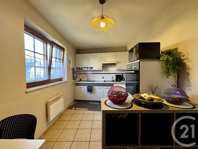 Appartement F2 &agrave; louer - 2 pi&egrave;ces - 29,62 m2 - Wintershouse - 67 - ALSACE