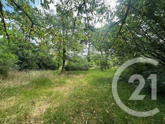 Terrain &agrave; vendre - 600 m2 - Kaltenhouse - 67 - ALSACE