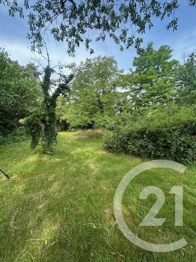 Terrain &agrave; vendre - 600 m2 - Kaltenhouse - 67 - ALSACE
