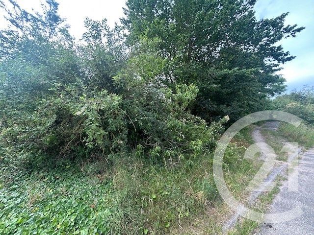 Terrain &agrave; vendre - 635 m2 - Kaltenhouse - 67 - ALSACE