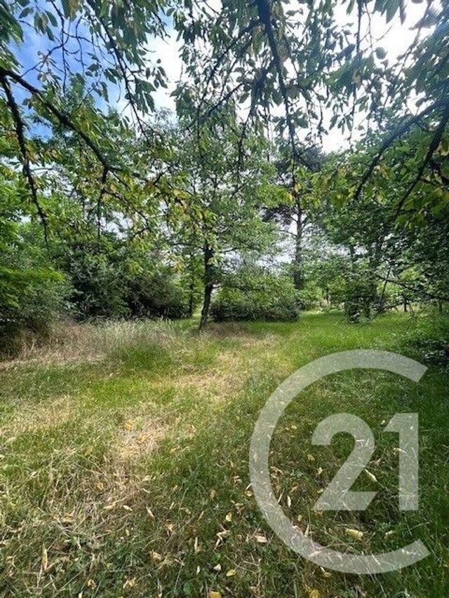 Terrain &agrave; vendre - 635 m2 - Kaltenhouse - 67 - ALSACE