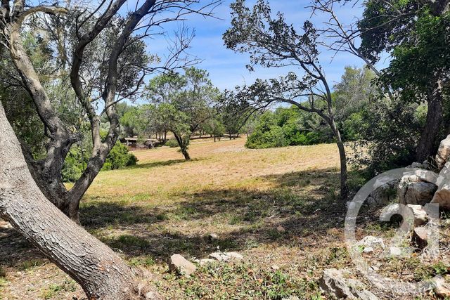 Maison &agrave; vendre - 12 pi&egrave;ces - 289,08 m2 - Frontignan - 34 - LANGUEDOC-ROUSSILLON
