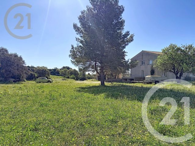 Maison &agrave; vendre - 12 pi&egrave;ces - 289,08 m2 - Frontignan - 34 - LANGUEDOC-ROUSSILLON