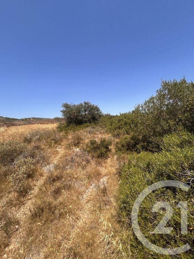 Terrain &agrave; vendre - 4094 m2 - Frontignan - 34 - LANGUEDOC-ROUSSILLON