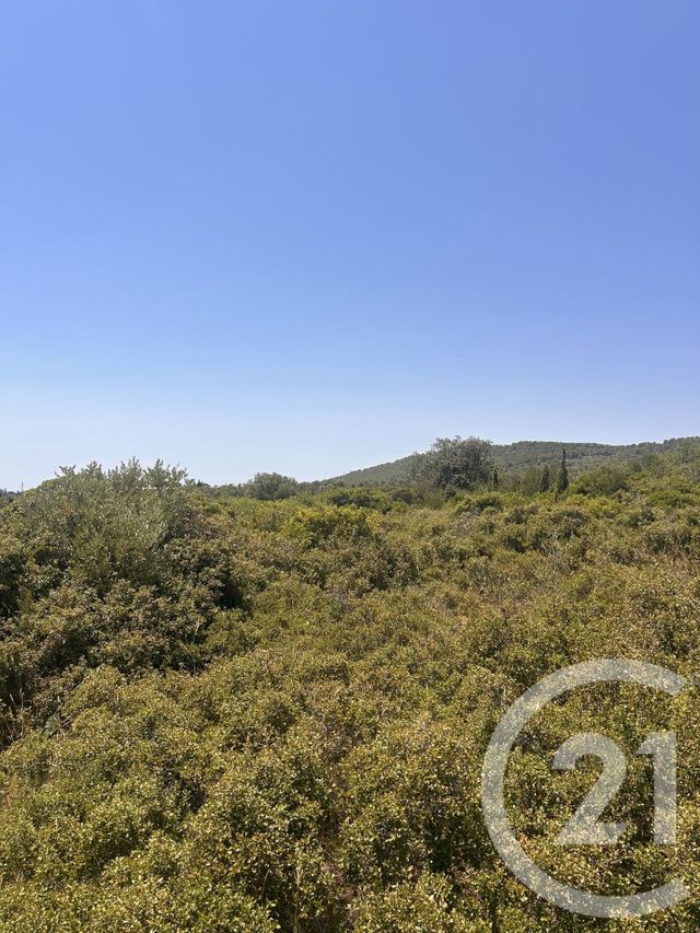 Terrain &agrave; vendre - 4094 m2 - Frontignan - 34 - LANGUEDOC-ROUSSILLON