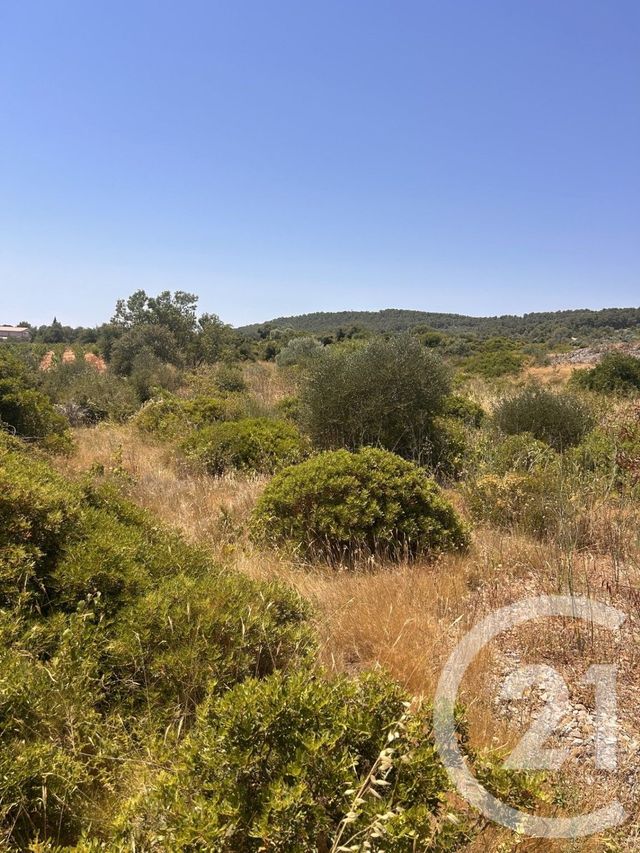 Terrain &agrave; vendre - 4094 m2 - Frontignan - 34 - LANGUEDOC-ROUSSILLON