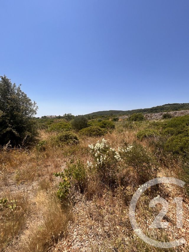 Terrain &agrave; vendre - 4094 m2 - Frontignan - 34 - LANGUEDOC-ROUSSILLON
