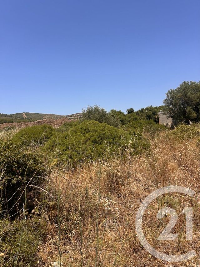 Terrain &agrave; vendre - 4094 m2 - Frontignan - 34 - LANGUEDOC-ROUSSILLON