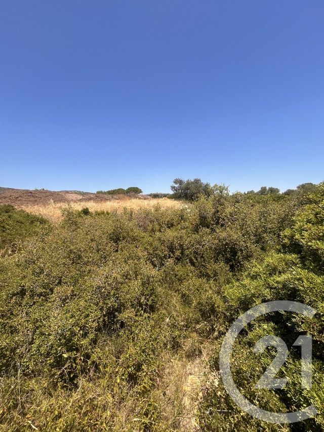 Terrain &agrave; vendre - 4094 m2 - Frontignan - 34 - LANGUEDOC-ROUSSILLON