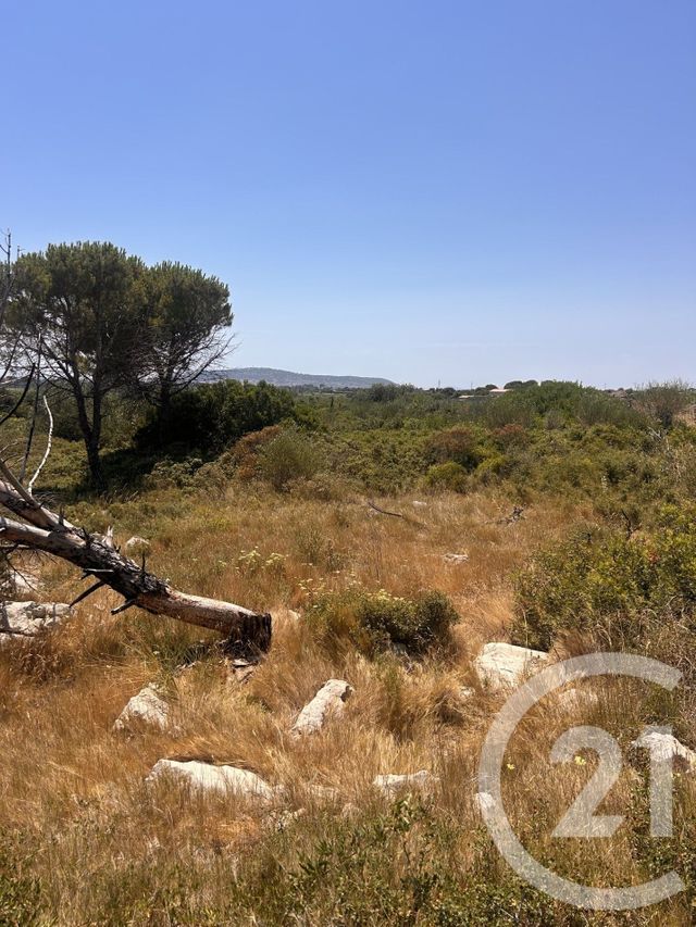 Terrain &agrave; vendre - 4094 m2 - Frontignan - 34 - LANGUEDOC-ROUSSILLON