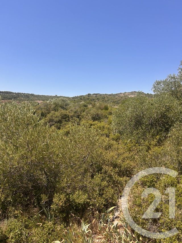 Terrain &agrave; vendre - 4094 m2 - Frontignan - 34 - LANGUEDOC-ROUSSILLON
