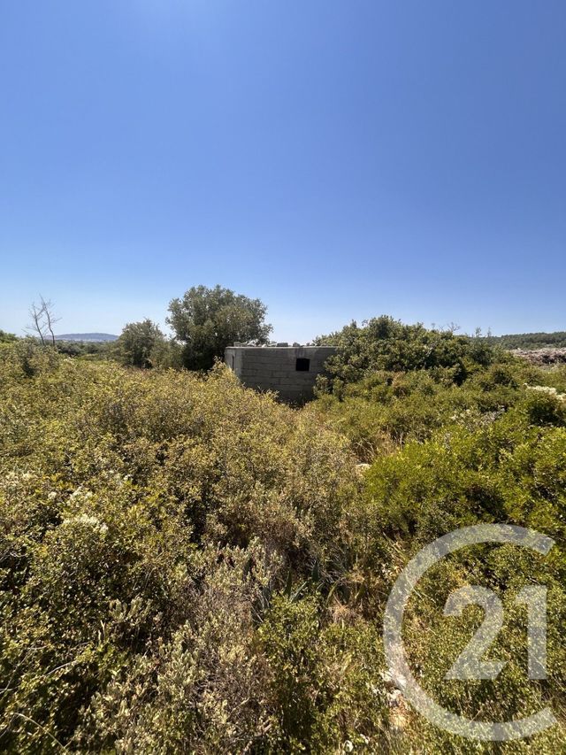 Terrain &agrave; vendre - 4094 m2 - Frontignan - 34 - LANGUEDOC-ROUSSILLON