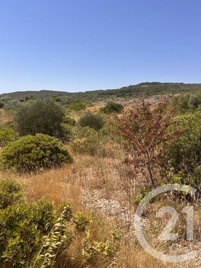Terrain &agrave; vendre - 4094 m2 - Frontignan - 34 - LANGUEDOC-ROUSSILLON