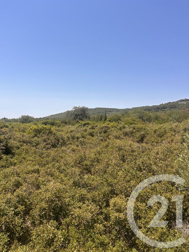 Terrain &agrave; vendre - 4094 m2 - Frontignan - 34 - LANGUEDOC-ROUSSILLON