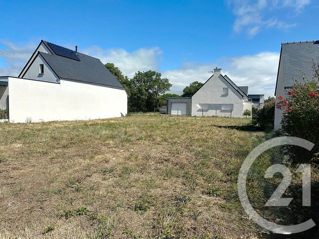 terrain - PENESTIN - 56