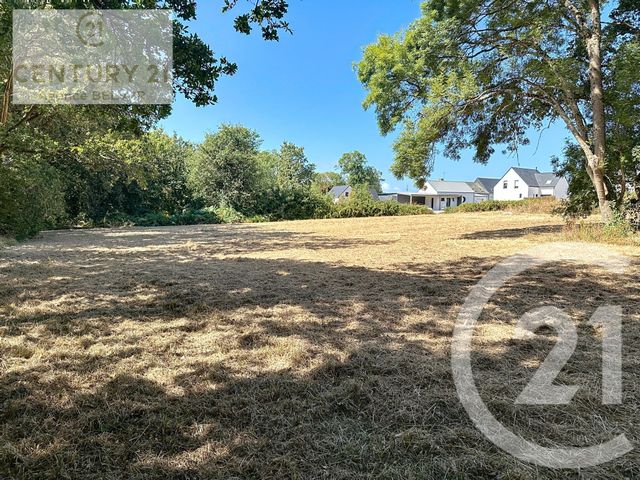 terrain - PENESTIN - 56