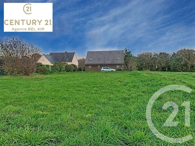 terrain - FEREL - 56