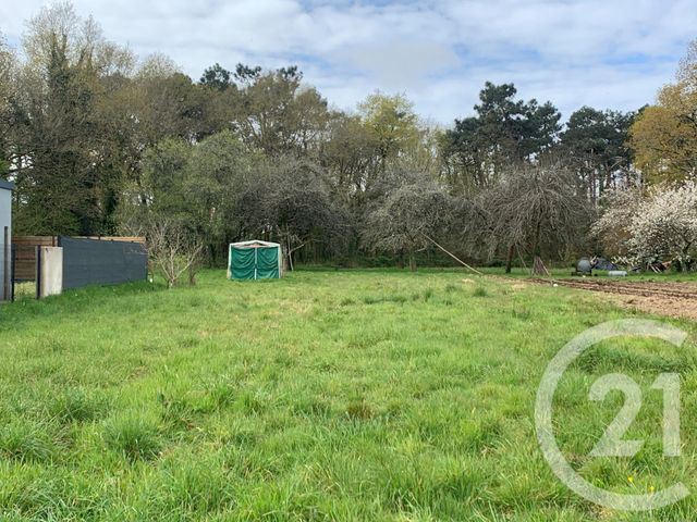 terrain - CAMOEL - 56