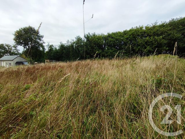 Terrain à vendre - 1589 m2 - Val D Ize - 35 - BRETAGNE
