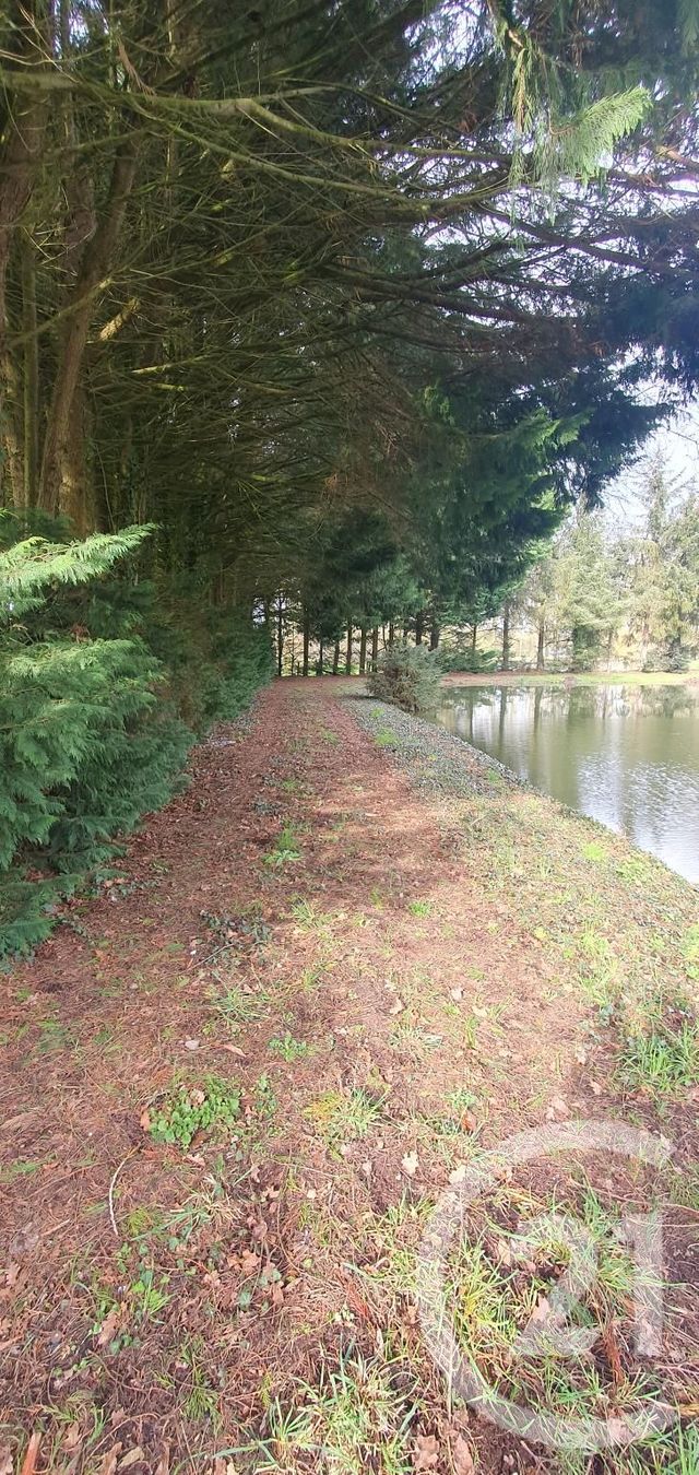 Terrain à vendre - 3488 m2 - Cuille - 53 - PAYS-DE-LOIRE