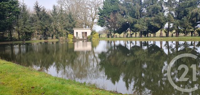 terrain - CUILLE - 53