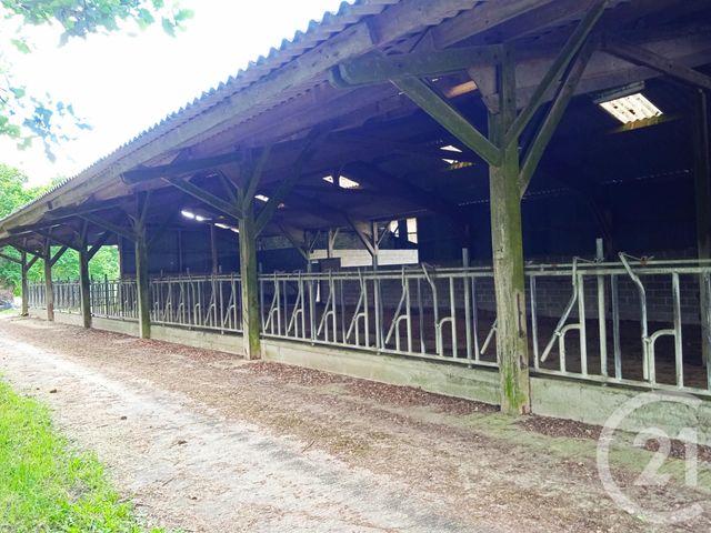 Maison &agrave; vendre - 5 pi&egrave;ces - 25300 m2 - Visseiche - 35 - BRETAGNE