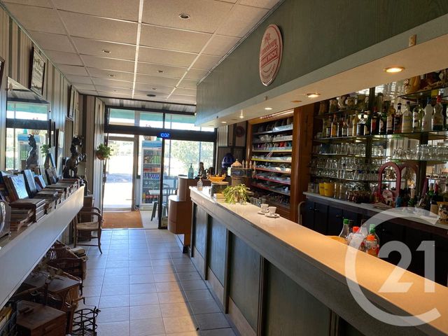 Maison à vendre - 22 pièces - 472,75 m2 - Avignonet Lauragais - 31 - MIDI-PYRENEES