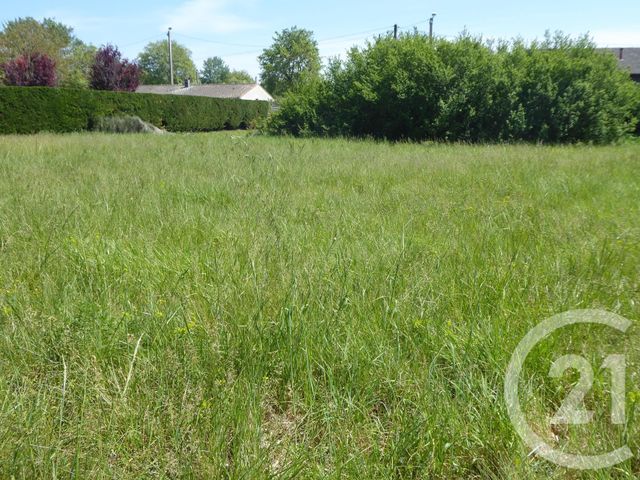 Terrain &agrave; vendre - 1250 m2 - Gardouch - 31 - MIDI-PYRENEES