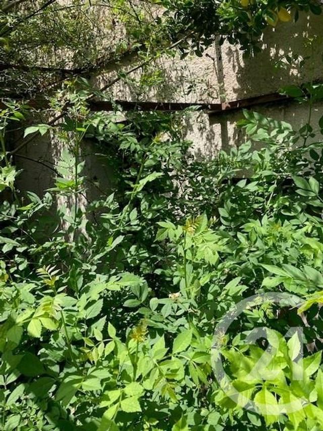 Maison &agrave; vendre - 1 pi&egrave;ce - 55 m2 - Trebons Sur La Grasse - 31 - MIDI-PYRENEES