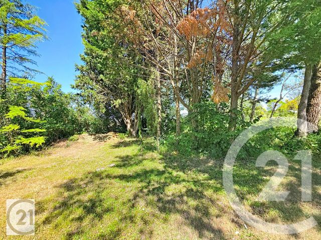 Maison &agrave; vendre - 6 pi&egrave;ces - 236 m2 - Avignonet Lauragais - 31 - MIDI-PYRENEES
