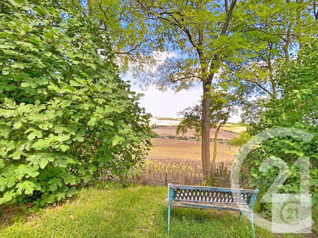 Maison à vendre - 5 pièces - 145 m2 - La Louviere Lauragais - 11 - LANGUEDOC-ROUSSILLON